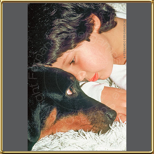 boy and Rottweiler dog