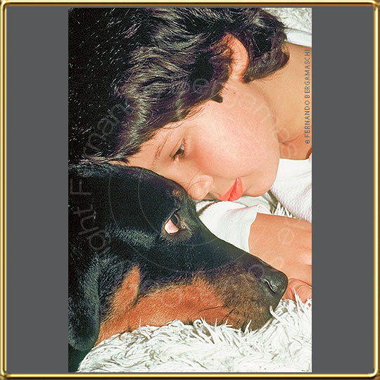 garoto e cachorro Rottweiler