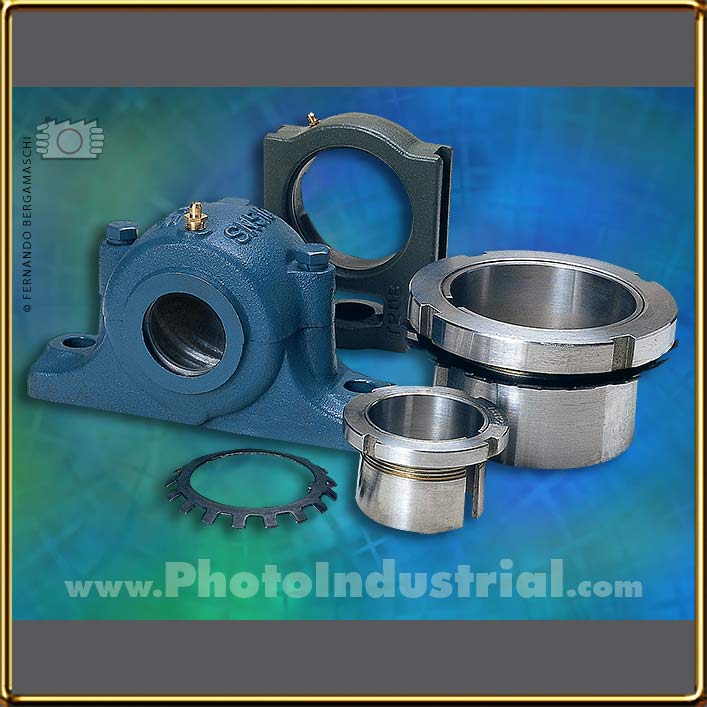 Disassembled bearing